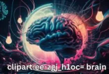 clipart:ee-zgj_h1oc= brain